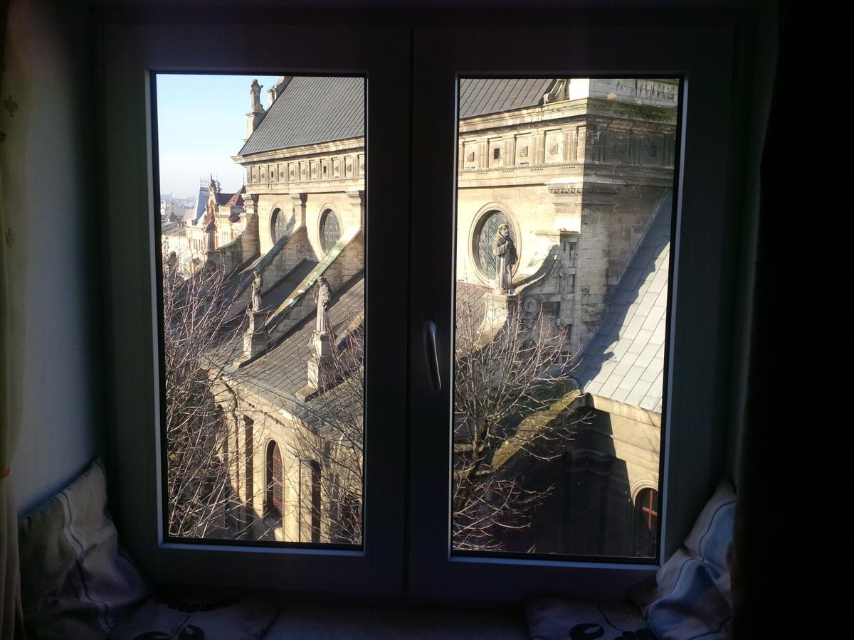 Lviv Amazing Rooftop Apartment Kültér fotó