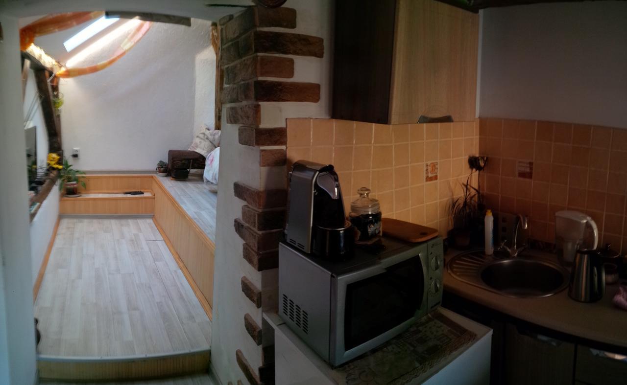 Lviv Amazing Rooftop Apartment Kültér fotó
