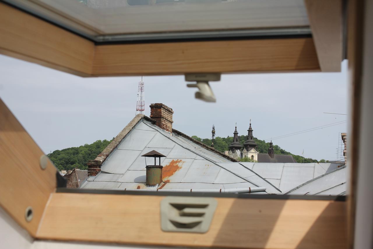 Lviv Amazing Rooftop Apartment Kültér fotó