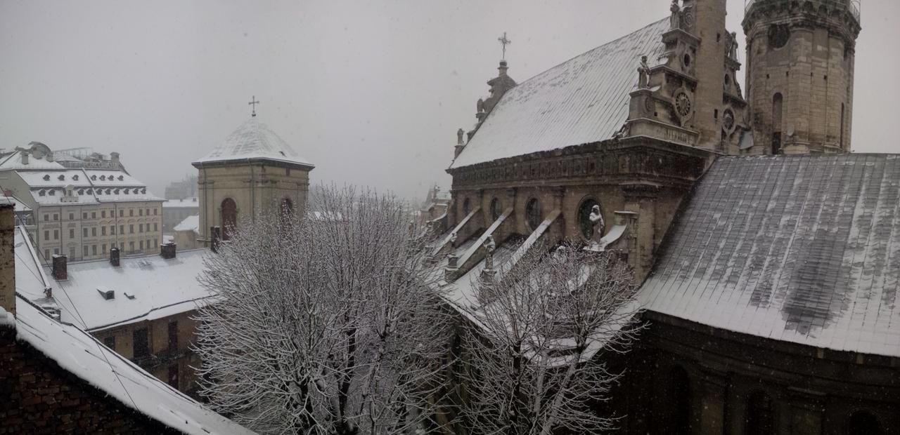 Lviv Amazing Rooftop Apartment Kültér fotó