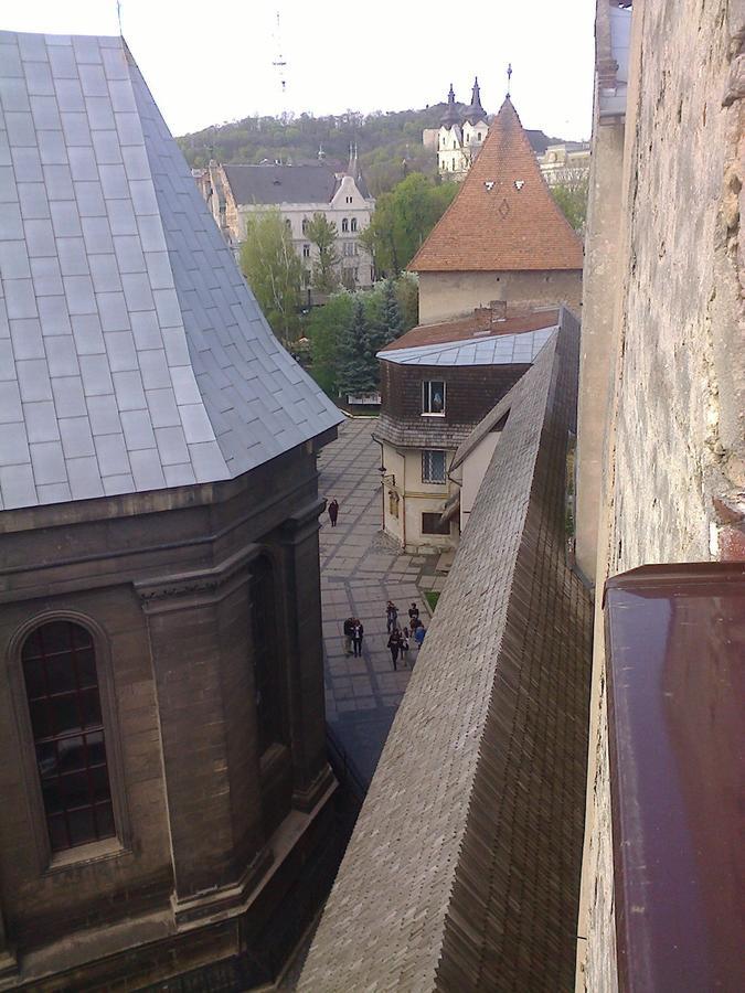 Lviv Amazing Rooftop Apartment Kültér fotó